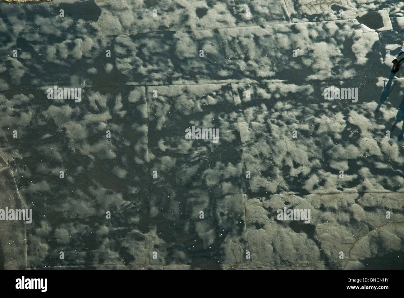 Wet asphalt after the rain Stock Photo Alamy