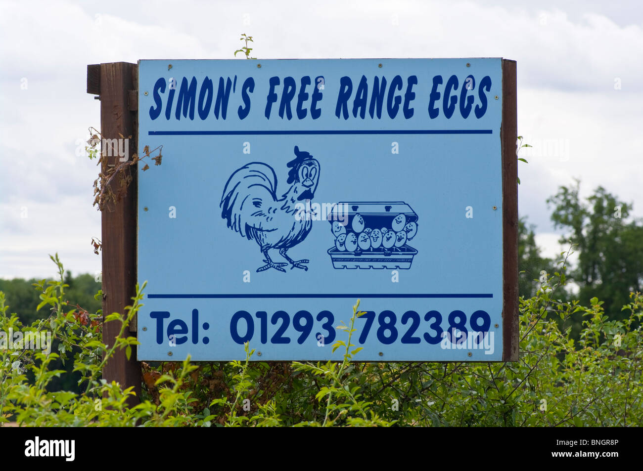 Free Range Eggs For Sale Roadside Sign Stock Photo