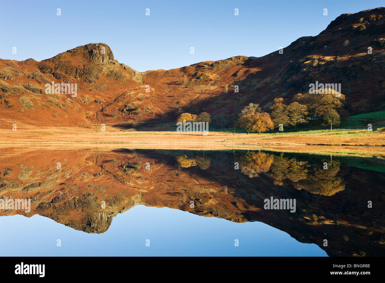 Morning light on the rugged slopes of Side Pike, reflected in Blea Tarn, Lake District National Park, Cumbria, England. Stock Photo