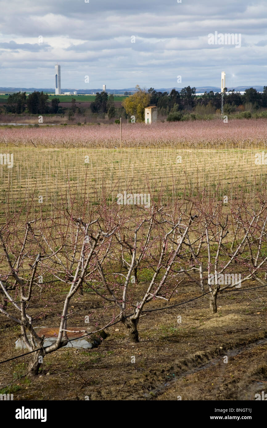 Spain grower hires stock photography and images Alamy