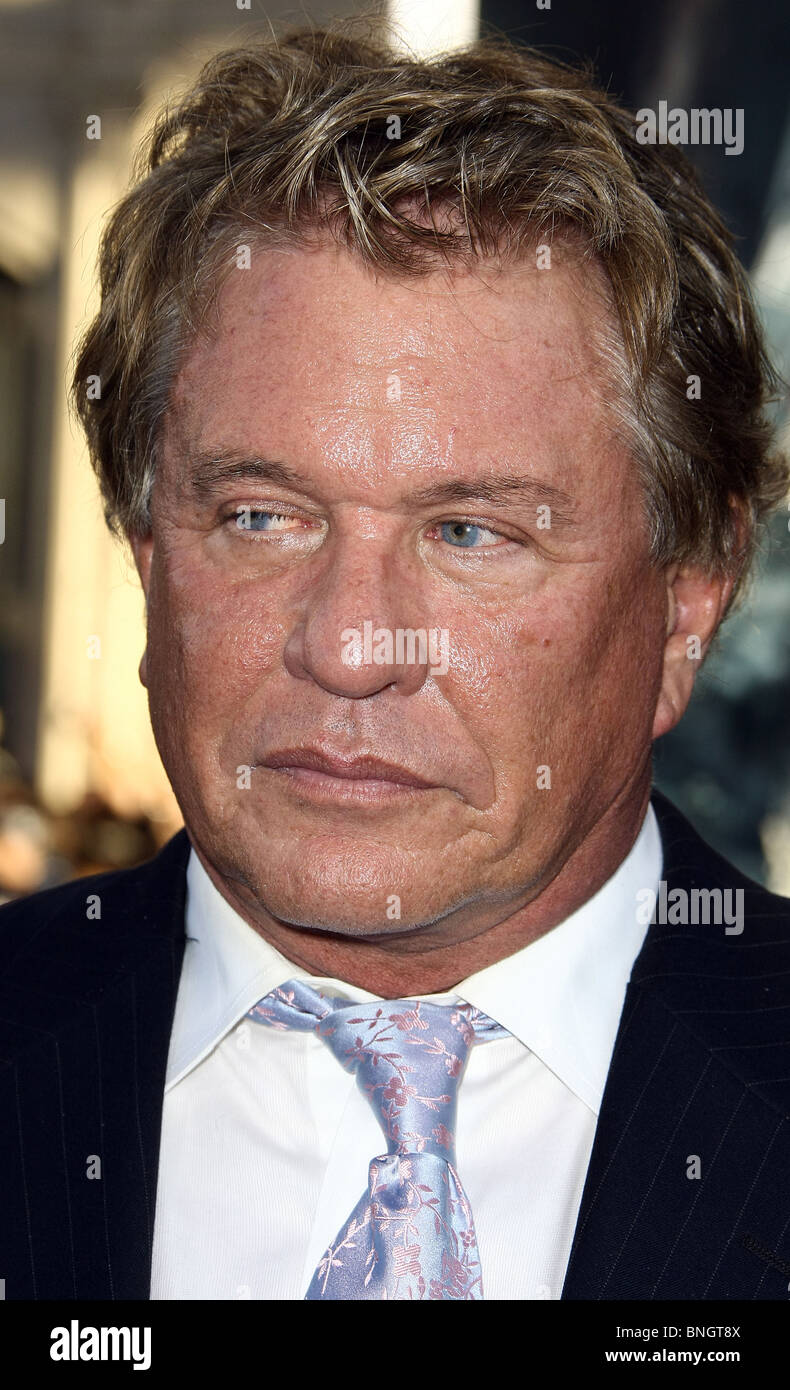 TOM BERENGER INCEPTION LOS ANGELES PREMIERE LOS ANGELES CALIFORNIA USA 13 July 2010 Stock Photo