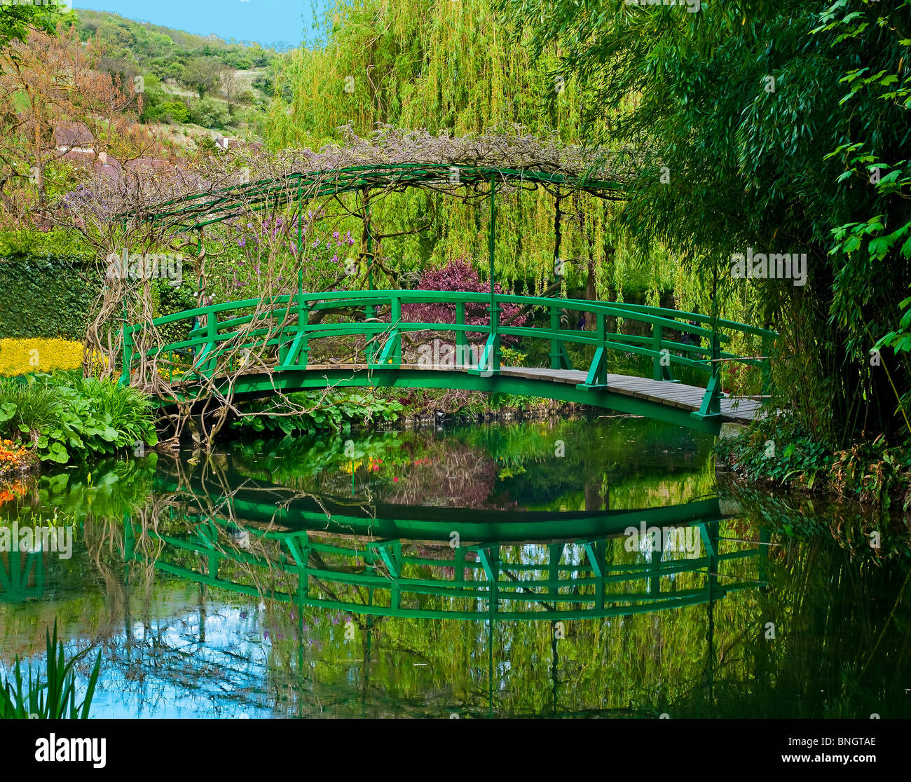 Monets Garden Flowers Giverny Normandy France Eure Europe