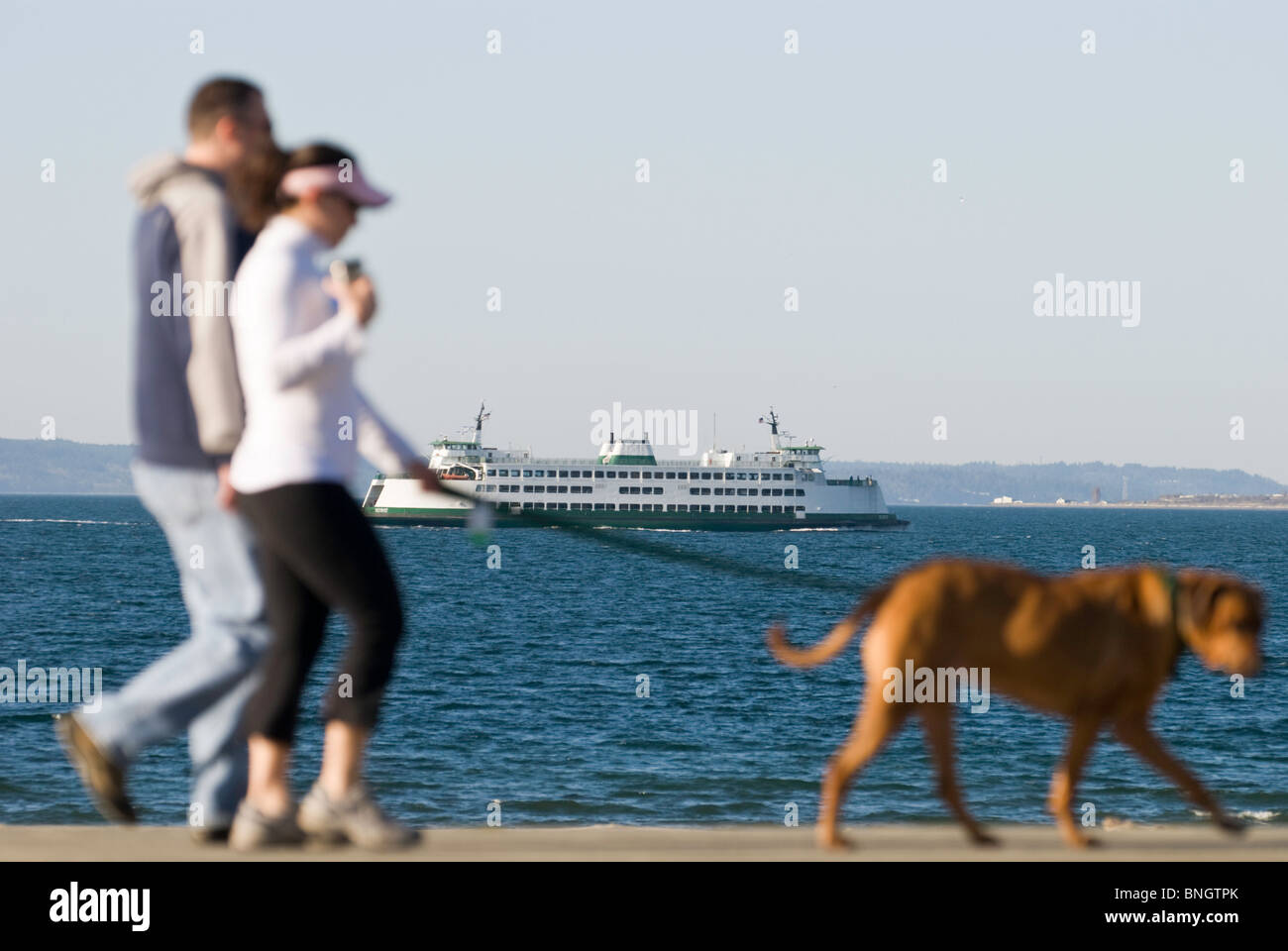 A couple walk their dog along Seattle's Alki Beach. Stock Photo