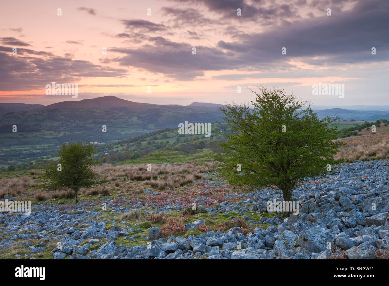 Sugarloaf Mountain at dawn from Llangattock Escarpment, Brecon Beacons ...