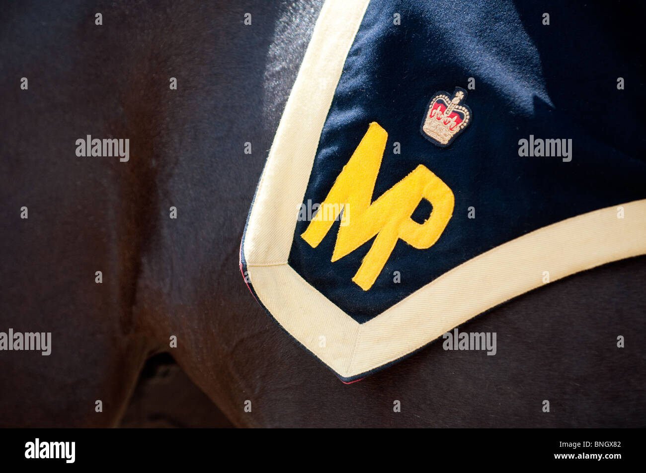 The Insignia Of The Royal Canadian Mounted Police On A Horse Blanket Stock Photo