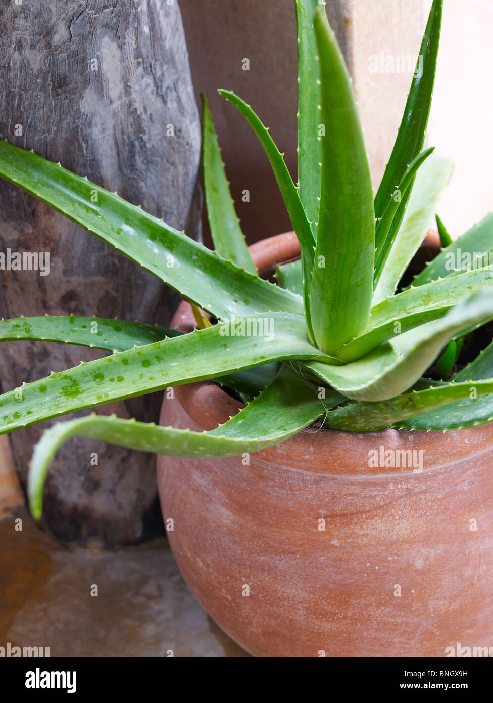 aloe vera saft im test Santaverde aloe vera gel pur 100 ml – Feuchtigkeit & Beruhigung main image 0