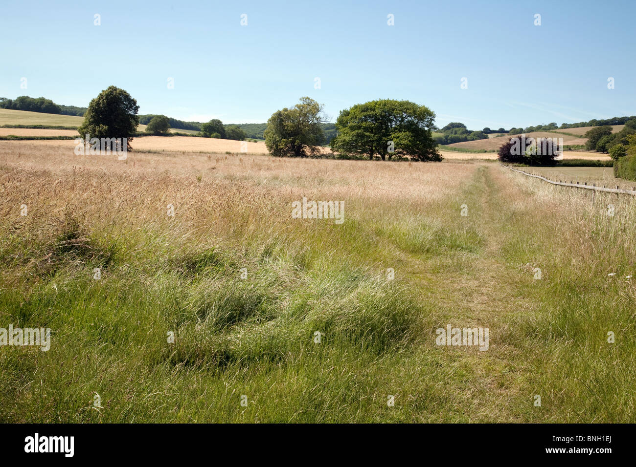 English countryside, Lyminge near Folkestone, Kent UK Stock Photo