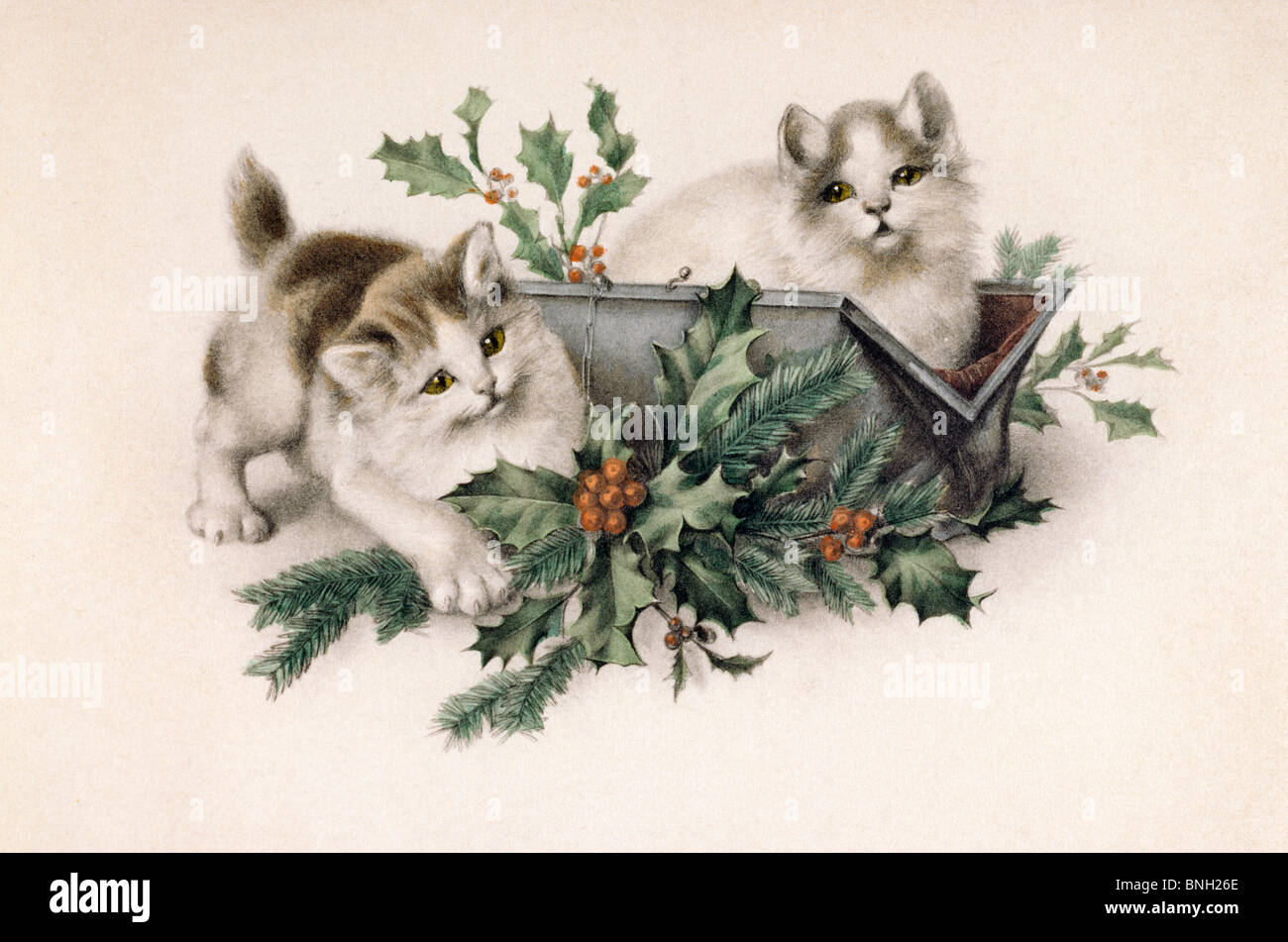 Kittens with Holly, Nostalgia Cards Stock Photo