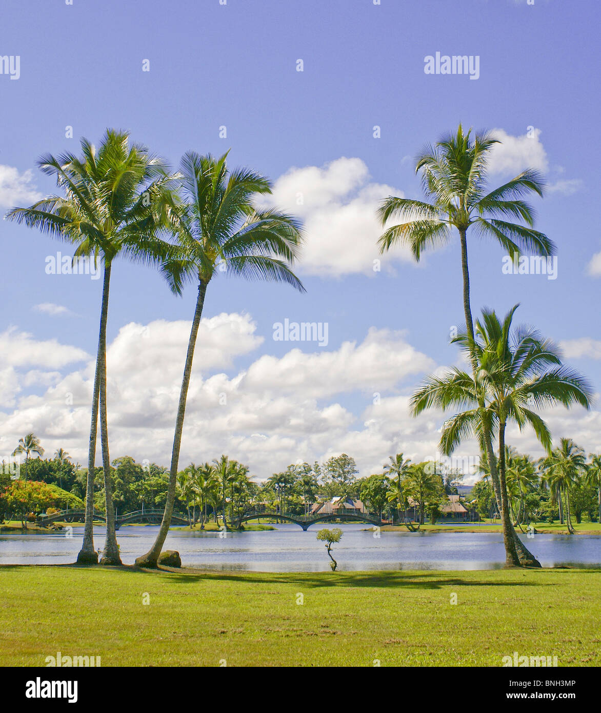 City of hilo hawaii hi-res stock photography and images - Alamy