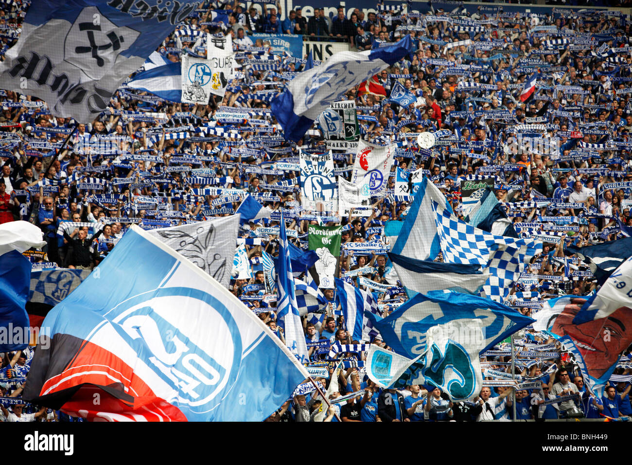 Football, soccer, supporter of German major league football club Schalke 04, in the Veltins Arena stadium. Stock Photo
