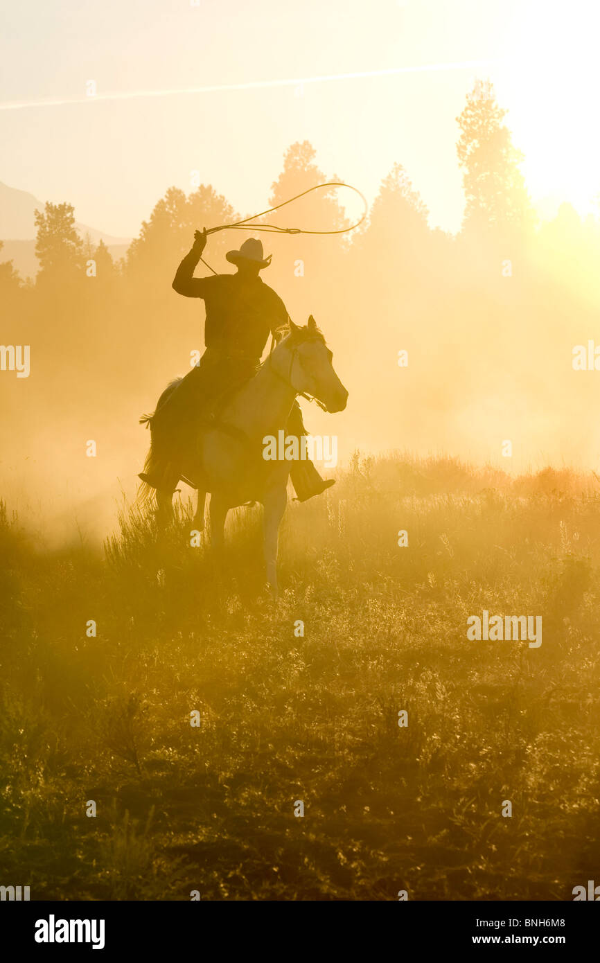 Cowboy silhouette galloping and roping through the desert Stock Photo