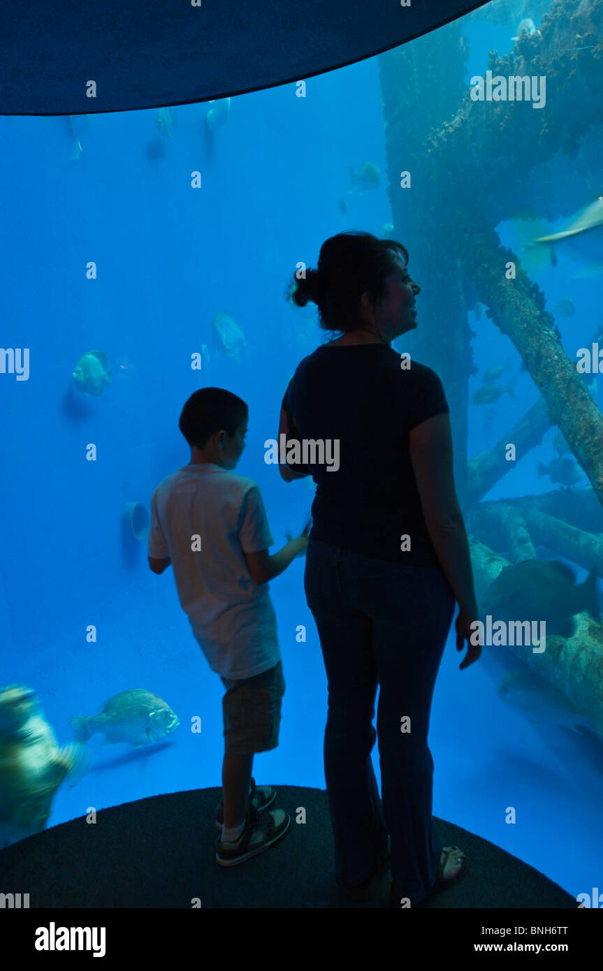 corpus christi aquarium 4th of july