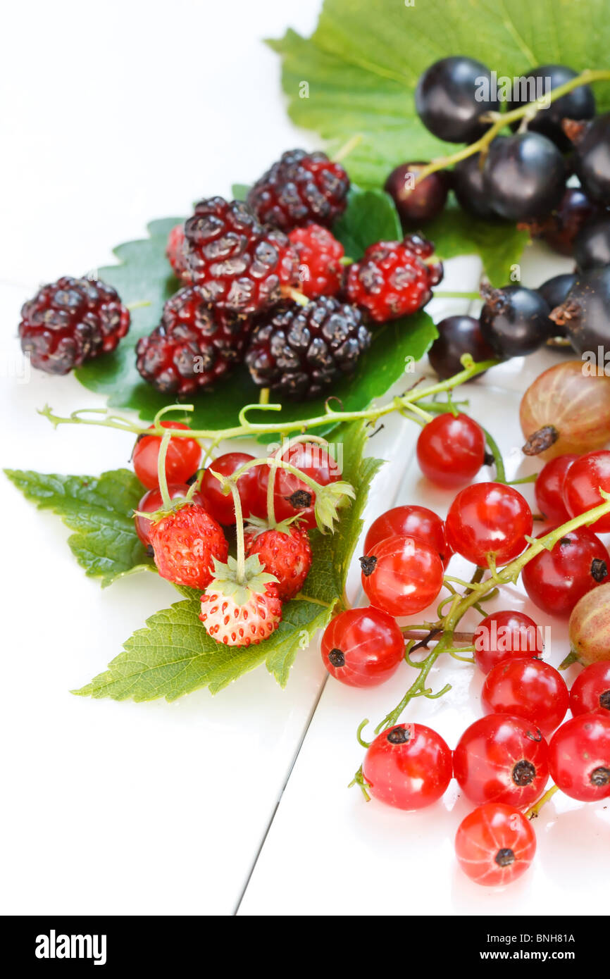 Red wild berries leaves hi-res stock photography and images - Alamy
