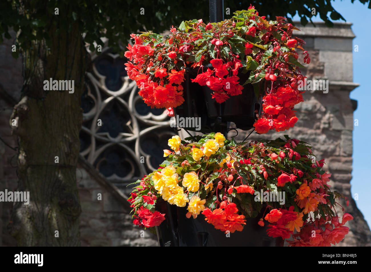 Flower baskets in Redditch town centre, Worcestershire Stock Photo Alamy