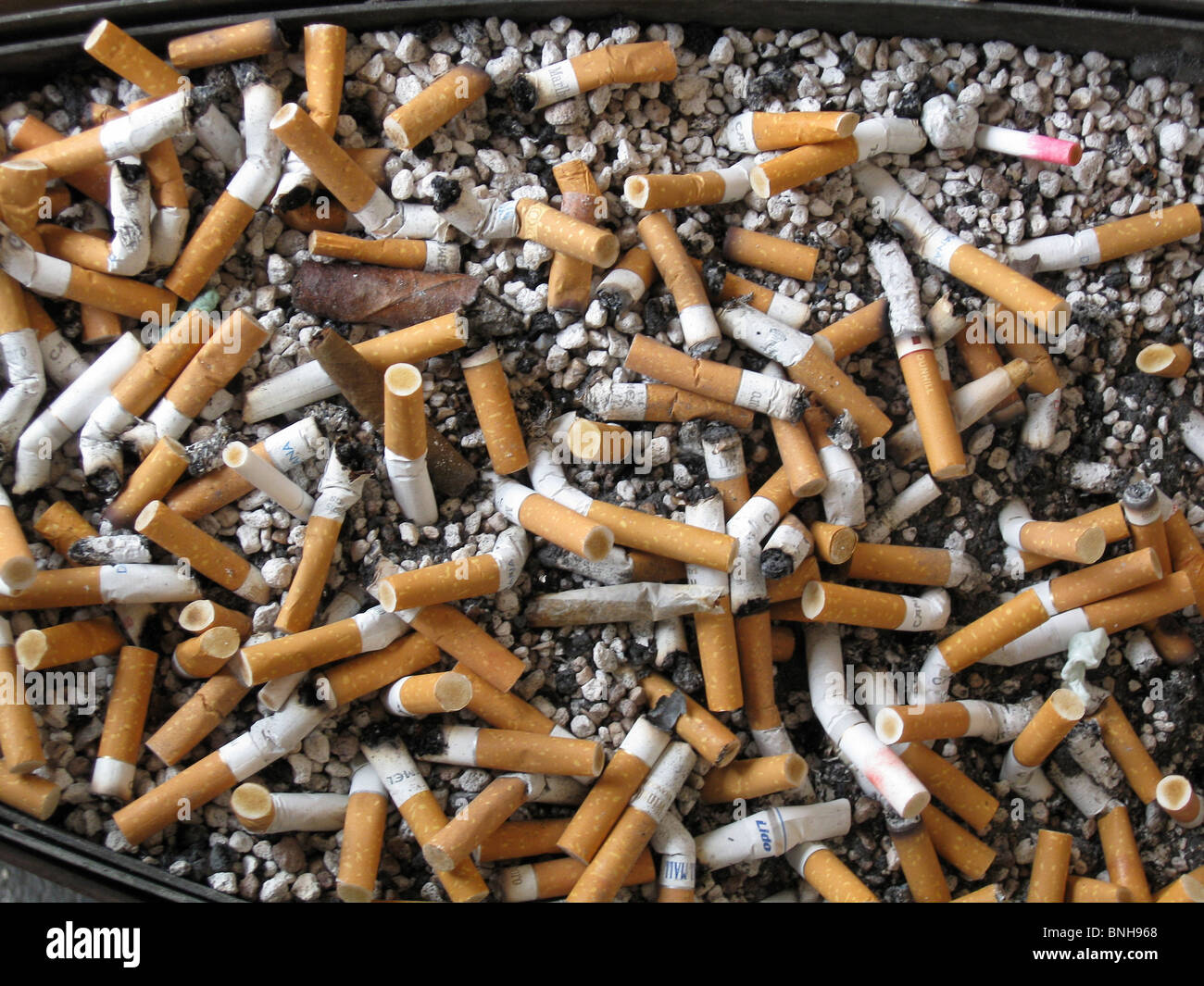 habit cigarette cigar butts ashtray smoking health hazard cigarettes Stock Photo