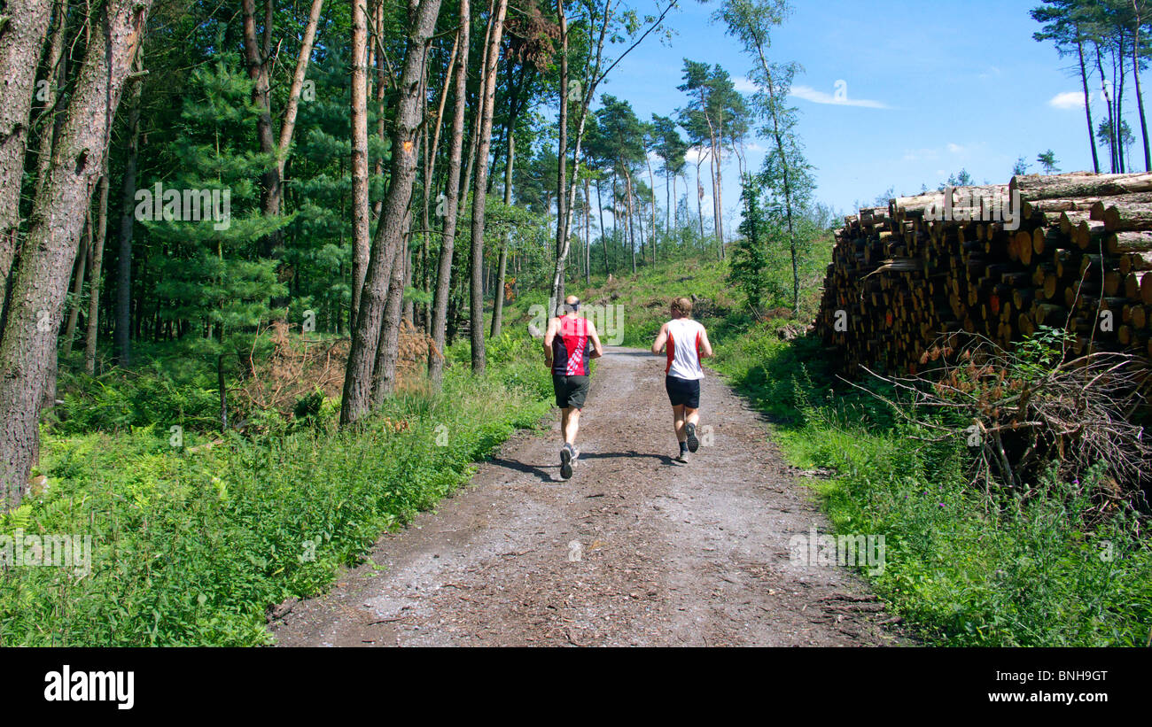 Germany Datteln Lippe Nature park Hohe Mark Die Haard Ruhr area North  Rhine-Westphalia forest way Jogger Jogging persons sport Stock Photo - Alamy