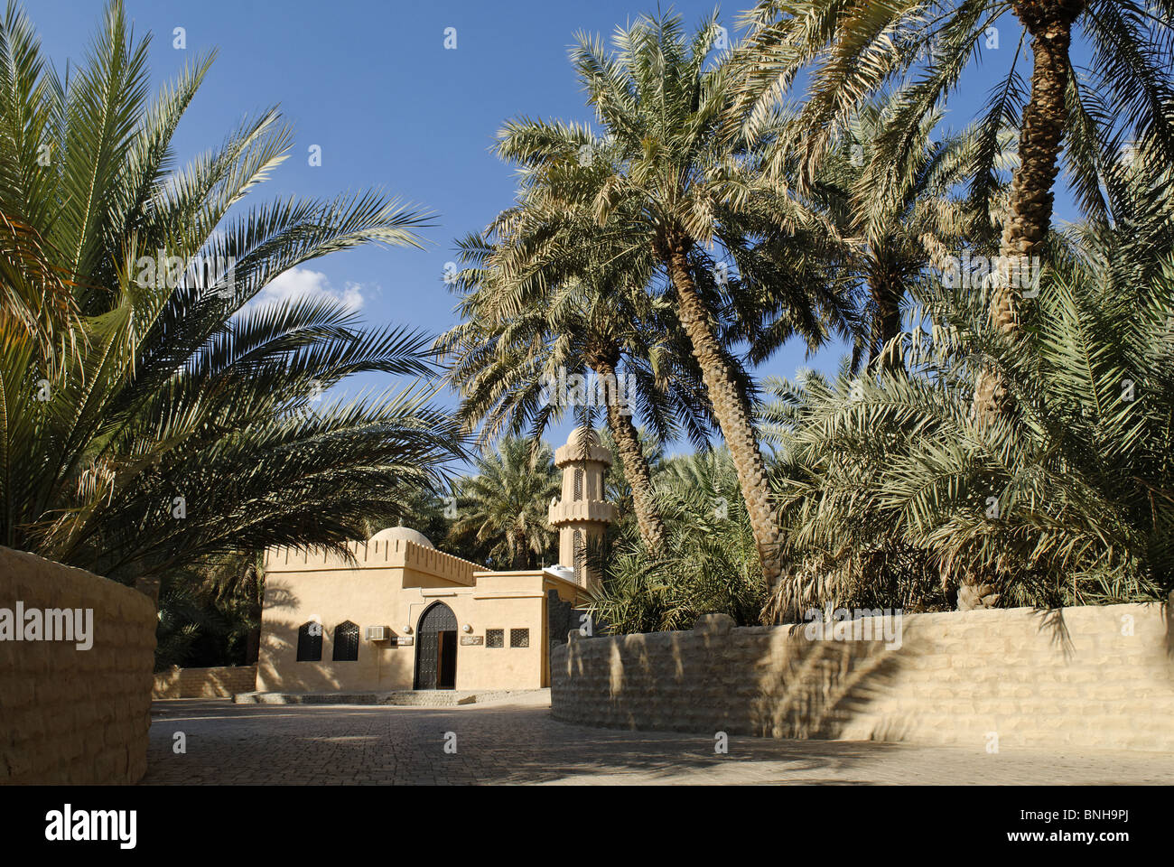 Mosque Palm Garden Oasis Al Ain Abu Dhabi Arabia Arabic Blue Sky