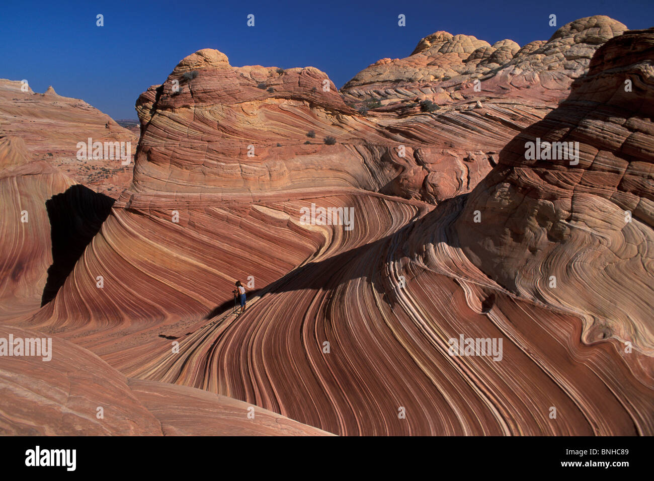 Usa Kanab Utah Arizona The Wave Grand Staircase Escalante National