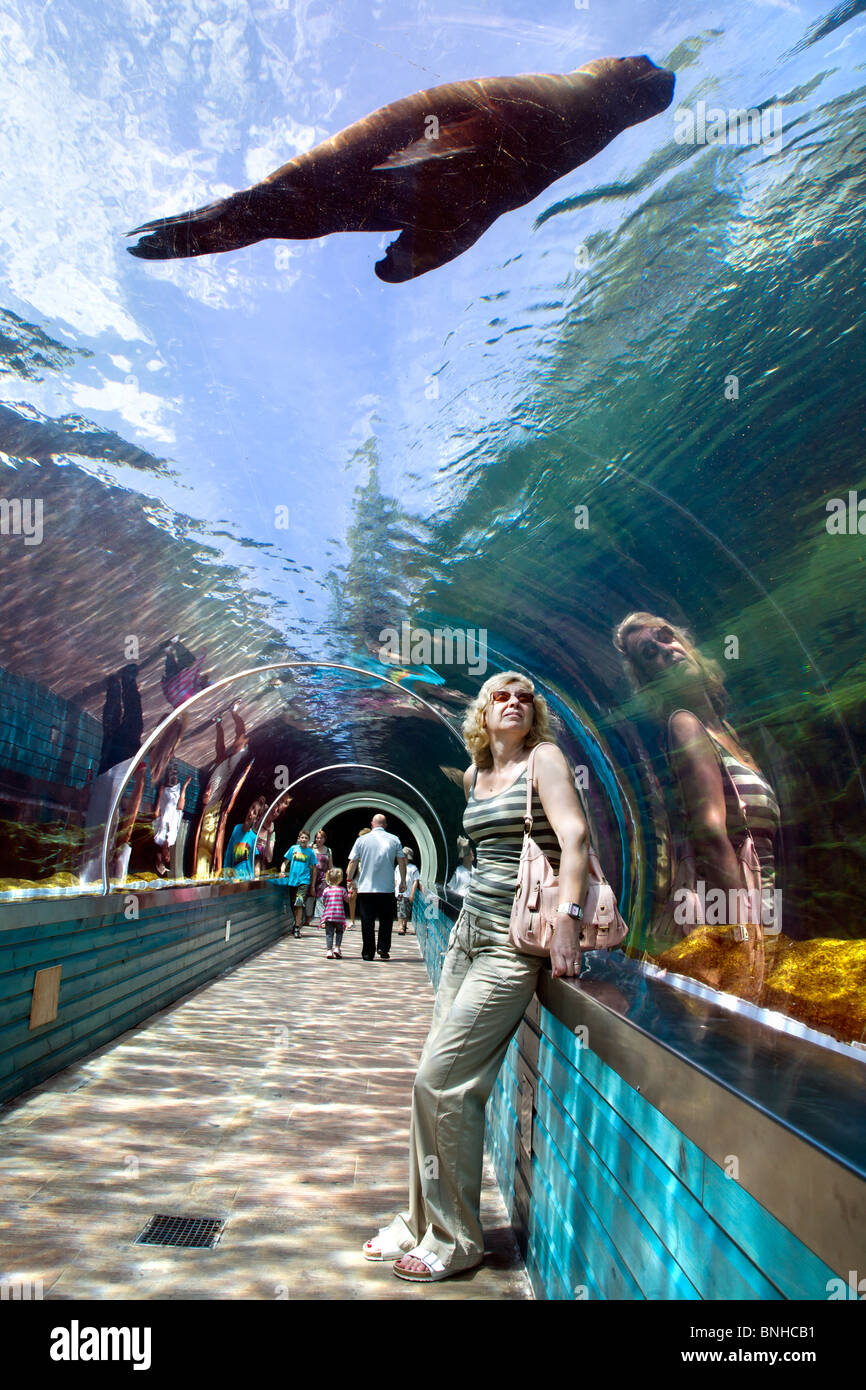 the largest straight underwater tunnel in Europe. The glass in the