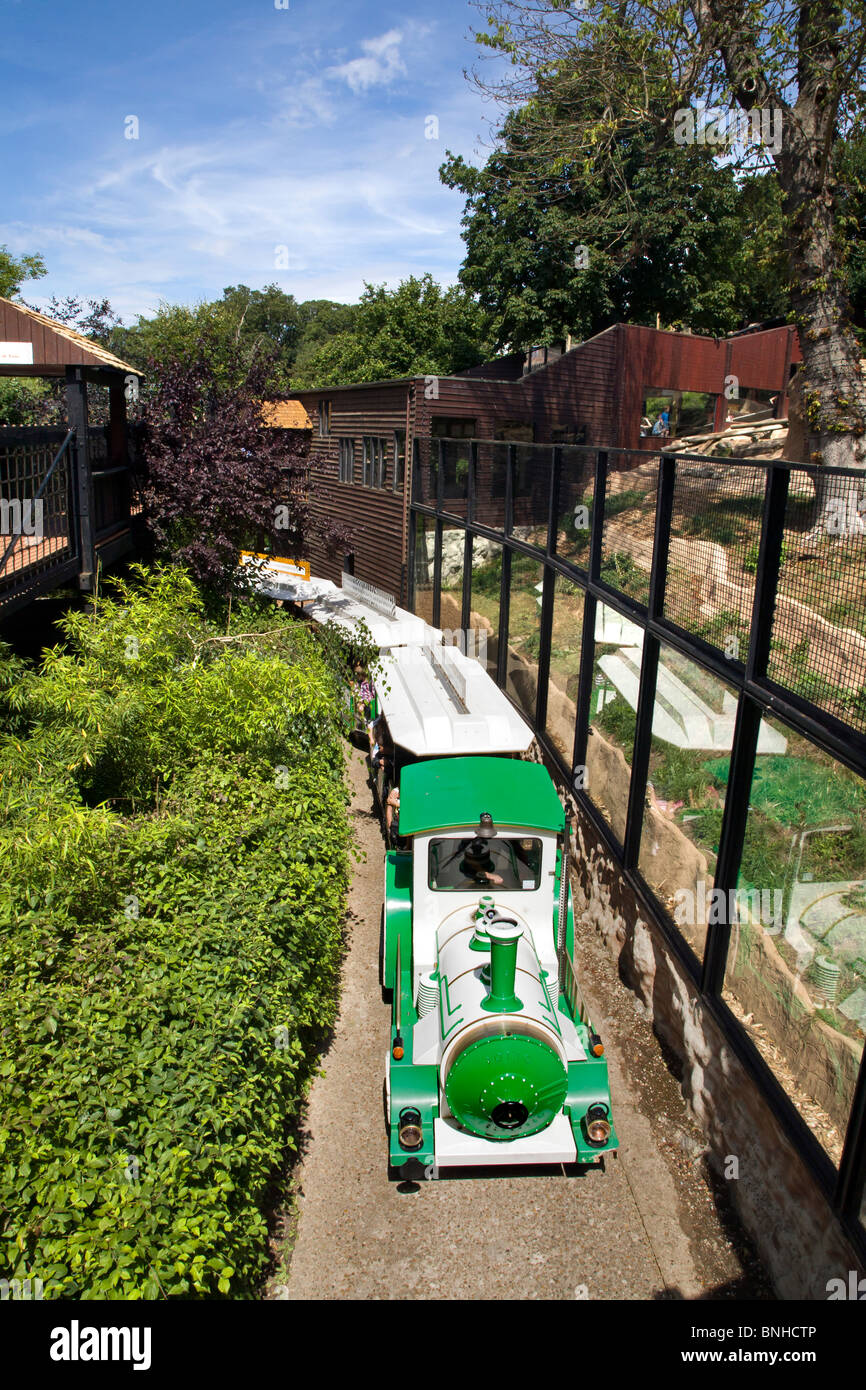 COLCHESTER ZOO, The Tanganyika Road Train takes you around the