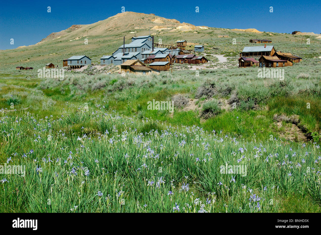 Usa Lee Vining California Ghost Town Bodie State Historic Park Near Lee