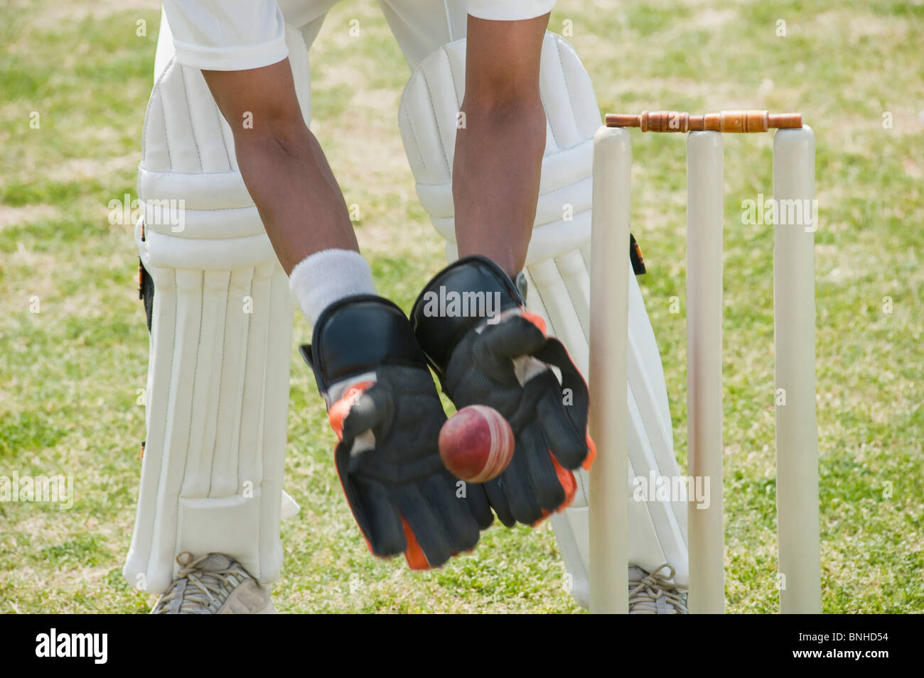 Cricket wicketkeeper catching a ball behind stumps Stock Photo