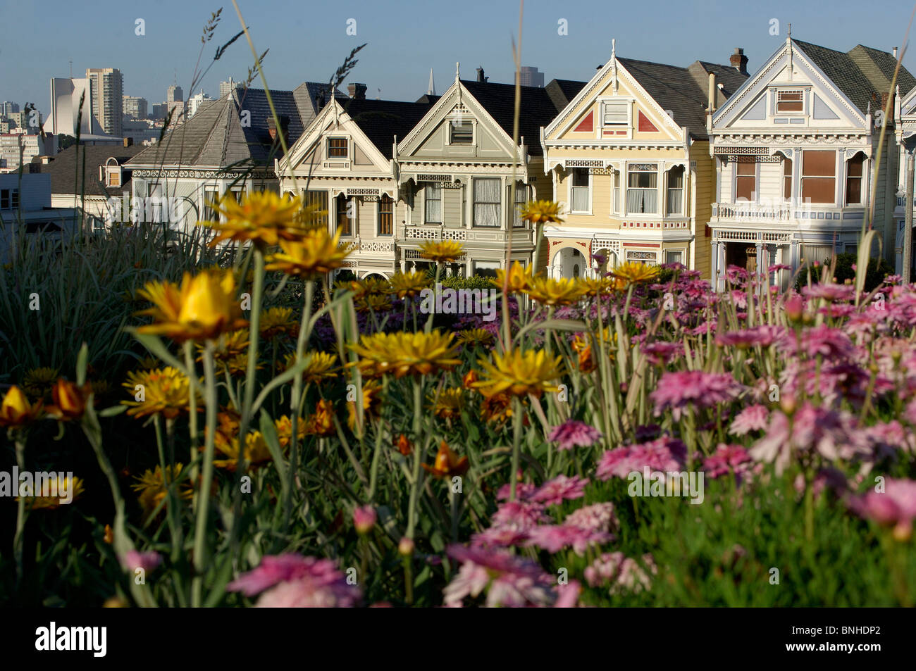 Usa San Francisco California The Pink Ladys Victorian Houses Alamo Square Architecture City Town Flowers United States of Stock Photo