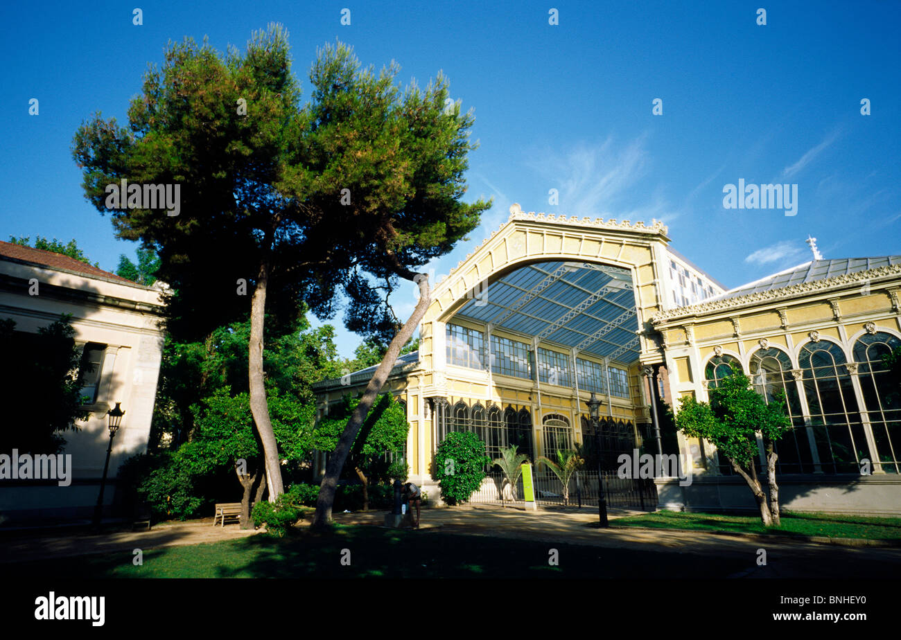 The 1888 Barcelona EXPO l'Hivernacle (conservatory) in the Parc de la Ciutadella in Barcelona. Stock Photo