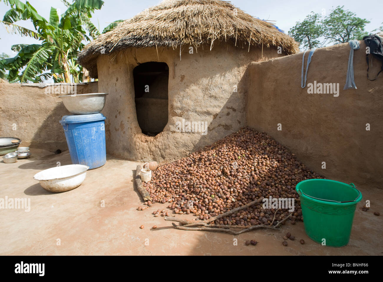 Shea nuts at a Mamprusi household in the village of Sor No. 1, Gonja triangle, Damango district, Ghana. Stock Photo