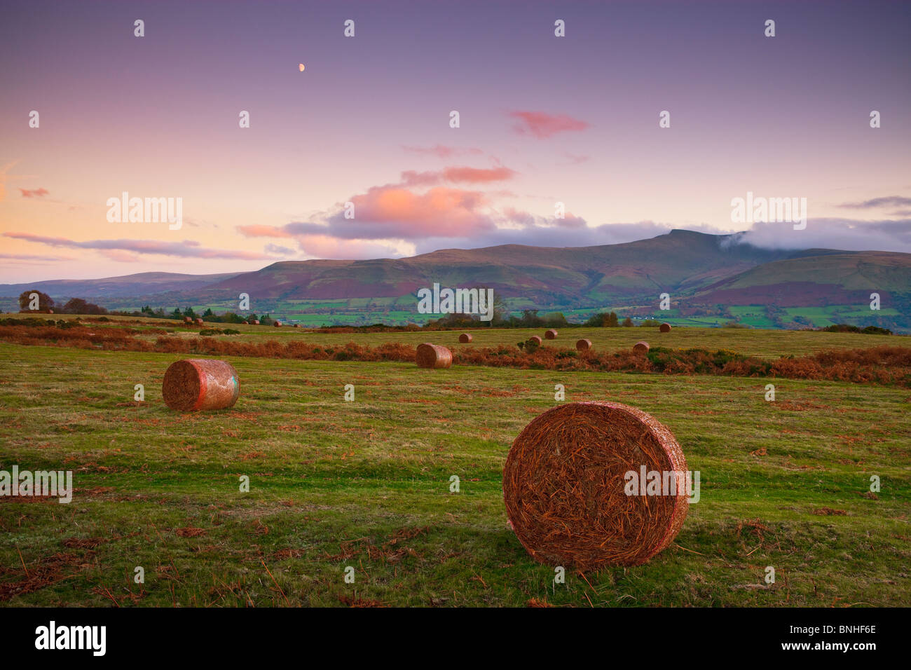 Mynydd Illtyd Common Brecon Beacons Brecon Powys Wales Stock Photo