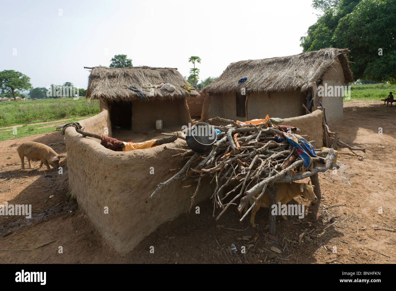 Dagarti household in the village of Sor No. 1, Gonja triangle, Damango district, Ghana. Stock Photo