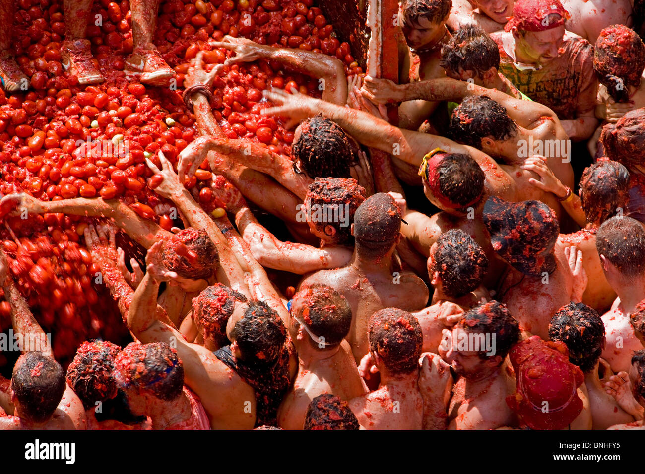 Spain August 2008 Valencia Region Bunol city Tomatina Festival Tomato