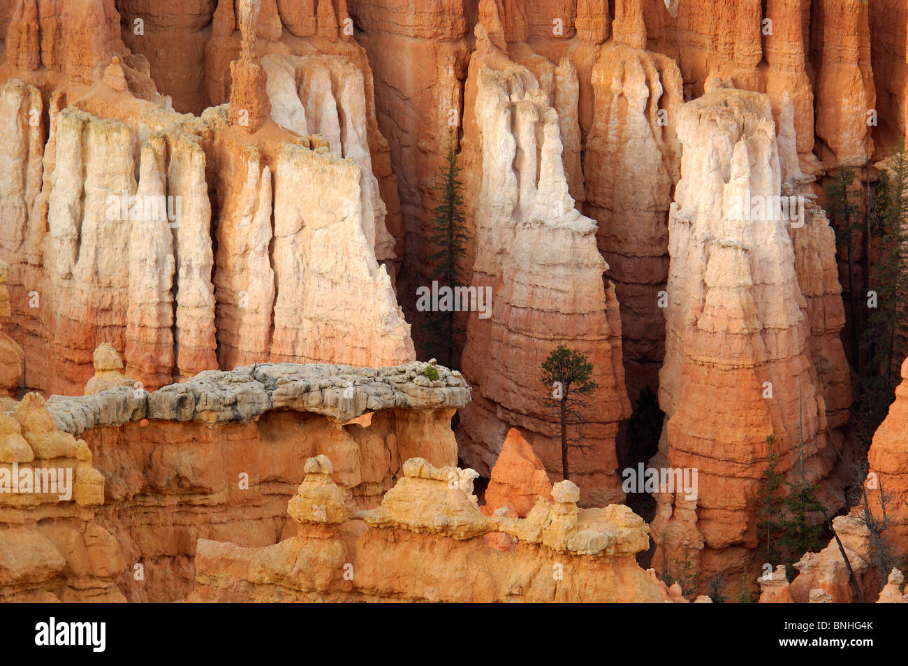 Usa Utah Inspiration Point Bryce Canyon National Park Landscape Scenery Rocks Rock Craggy Erosion Pinnacles Eroded Stock Photo