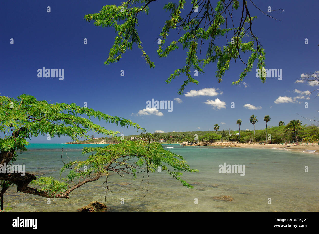 Caribbean Treasure Beach Jamaica Calabash Bay Landscape Coast Shore Sea