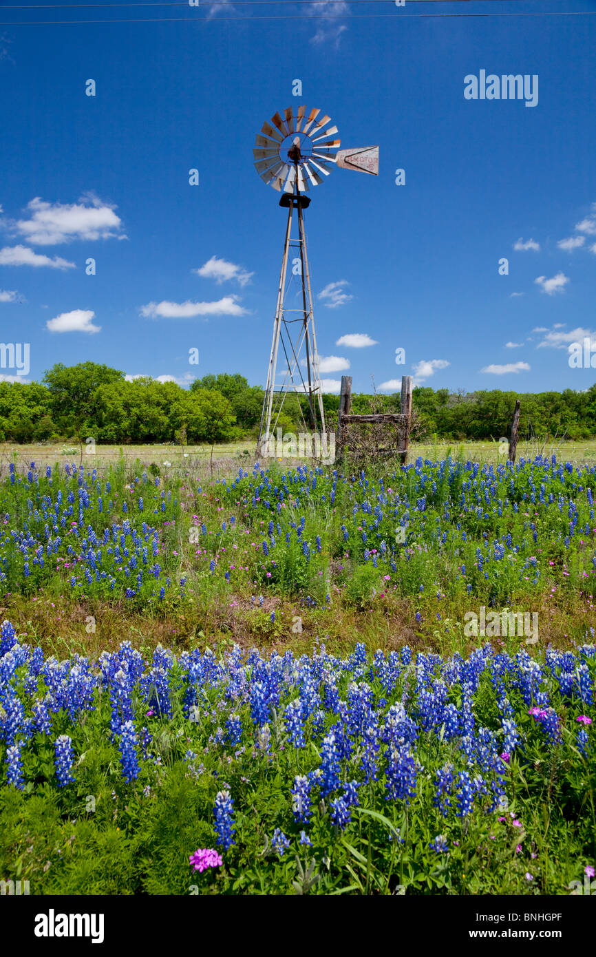 A country ranch windmill with wildflowers in the hill country near Fredonia, Texas