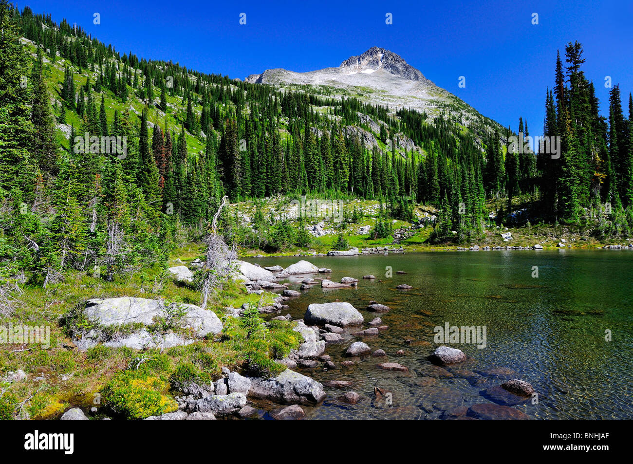 Canada Keen Lake Kokanee Glacier Provincial Park Nelson British