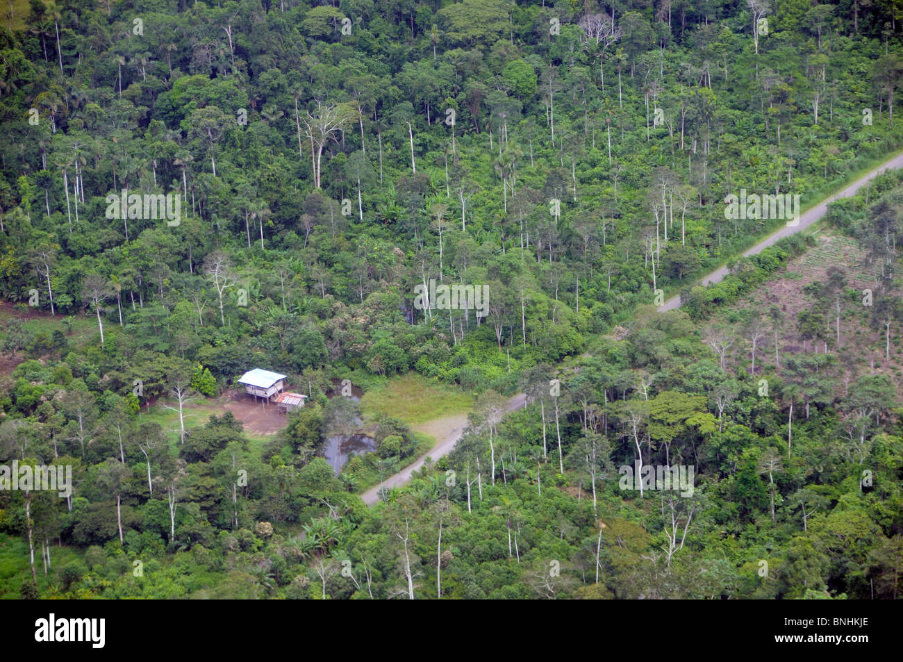 Ecuador near Coca Amazon Rainforest forest wood tropics tropical