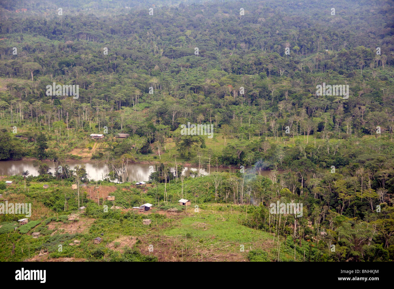 Ecuador near Coca Amazon Rainforest forest wood tropics tropical