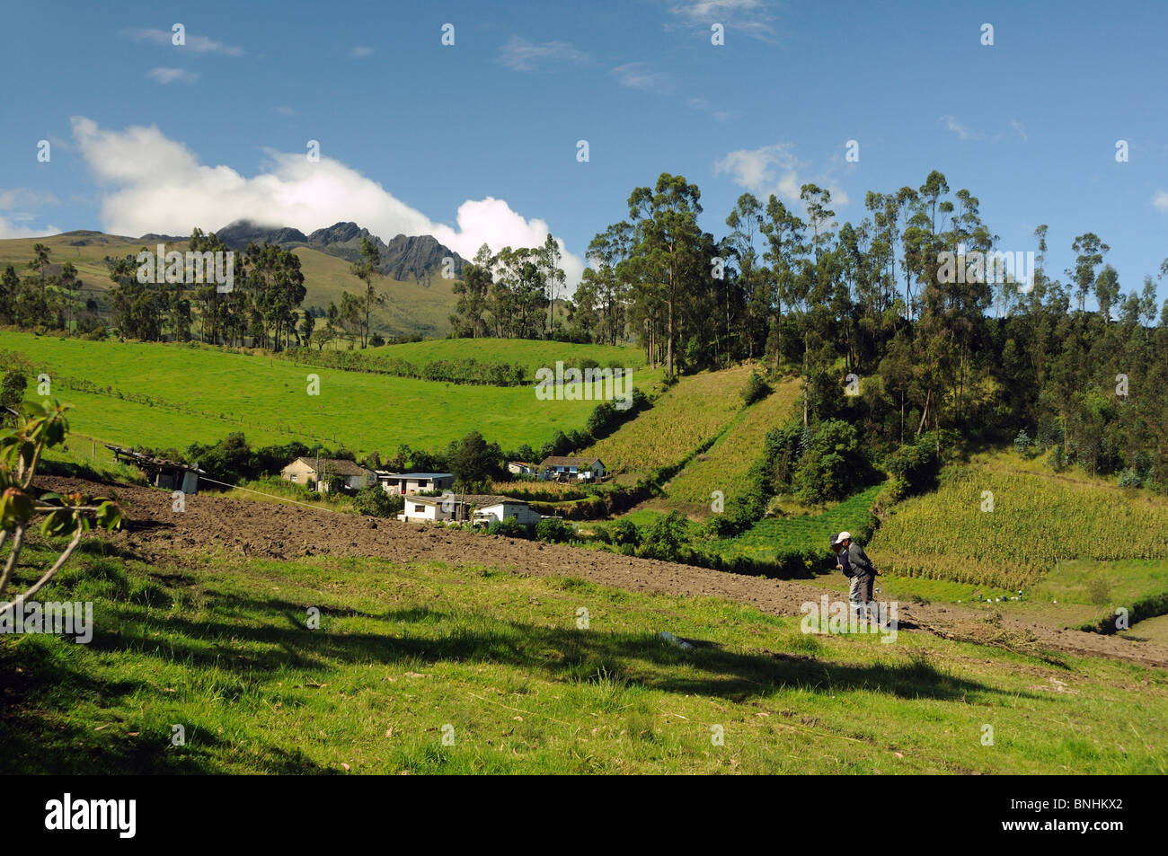 Ecuador Volcano Pichincha near Quito Andes Mountains landscape farming rural trees farmer man
