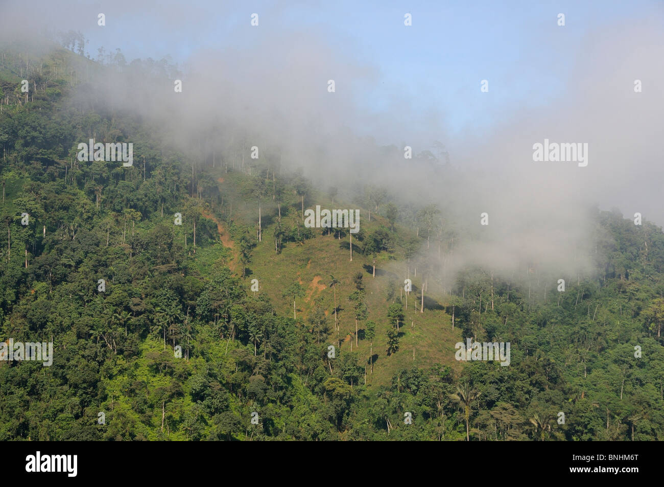 Ecuador Cloud Forest Fog cover near Puerto Inca landscape scenery slope mountains mountain nature green forest trees wood clouds Stock Photo