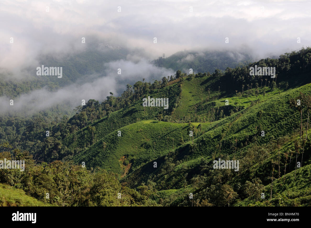 Ecuador Cloud Forest Fog cover near Puerto Inca landscape scenery slope mountains mountain nature green forest trees wood clouds Stock Photo