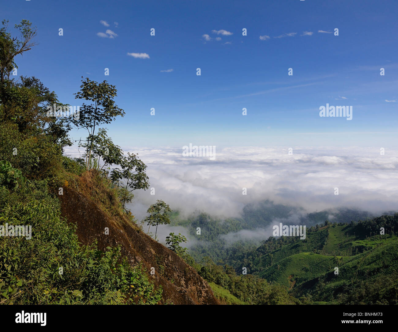 Ecuador Cloud Forest Fog cover near Puerto Inca landscape scenery slope mountains mountain nature green forest trees wood Stock Photo