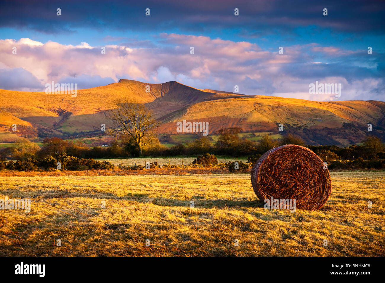 Pen y Fan & Corn Du mountains from Mynydd Illtyd Common Brecon Beacons