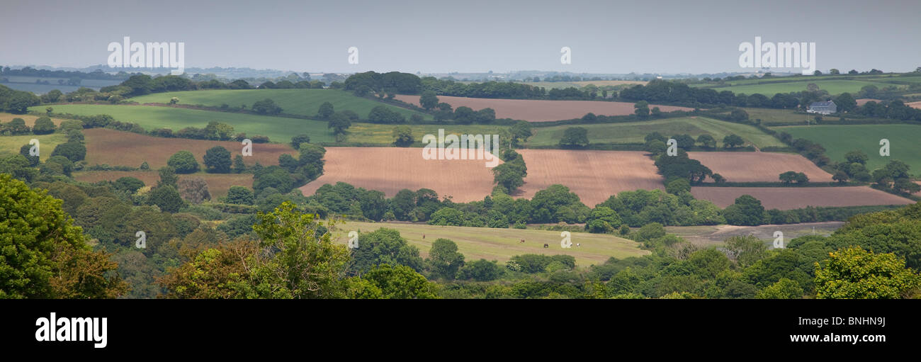 Rural England view over farmers fields with hedgerow boundaries, Cornwall Stock Photo