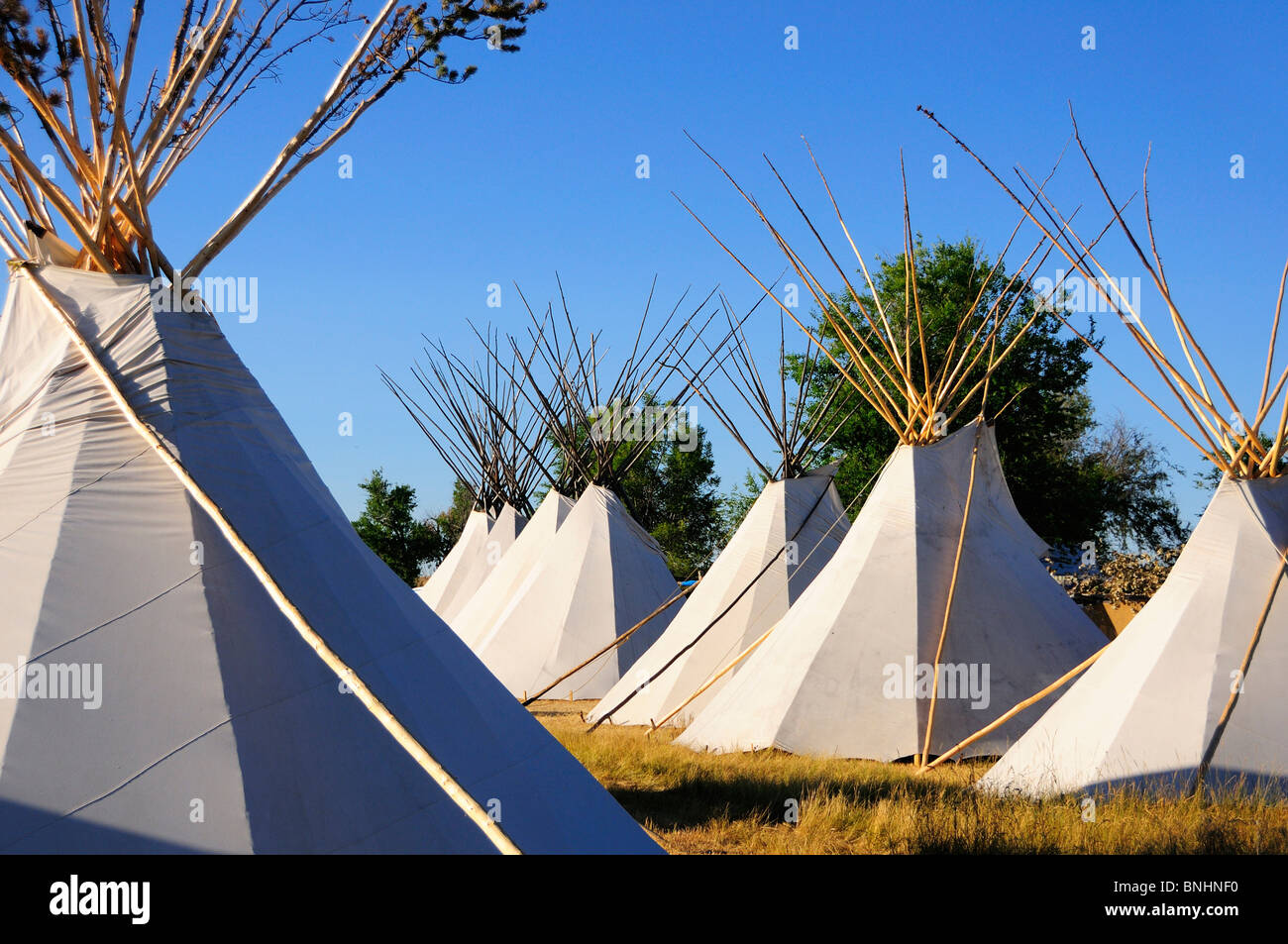 USA Crow Fair Indian Pow Wow Crow Agency Montana Powwow Native