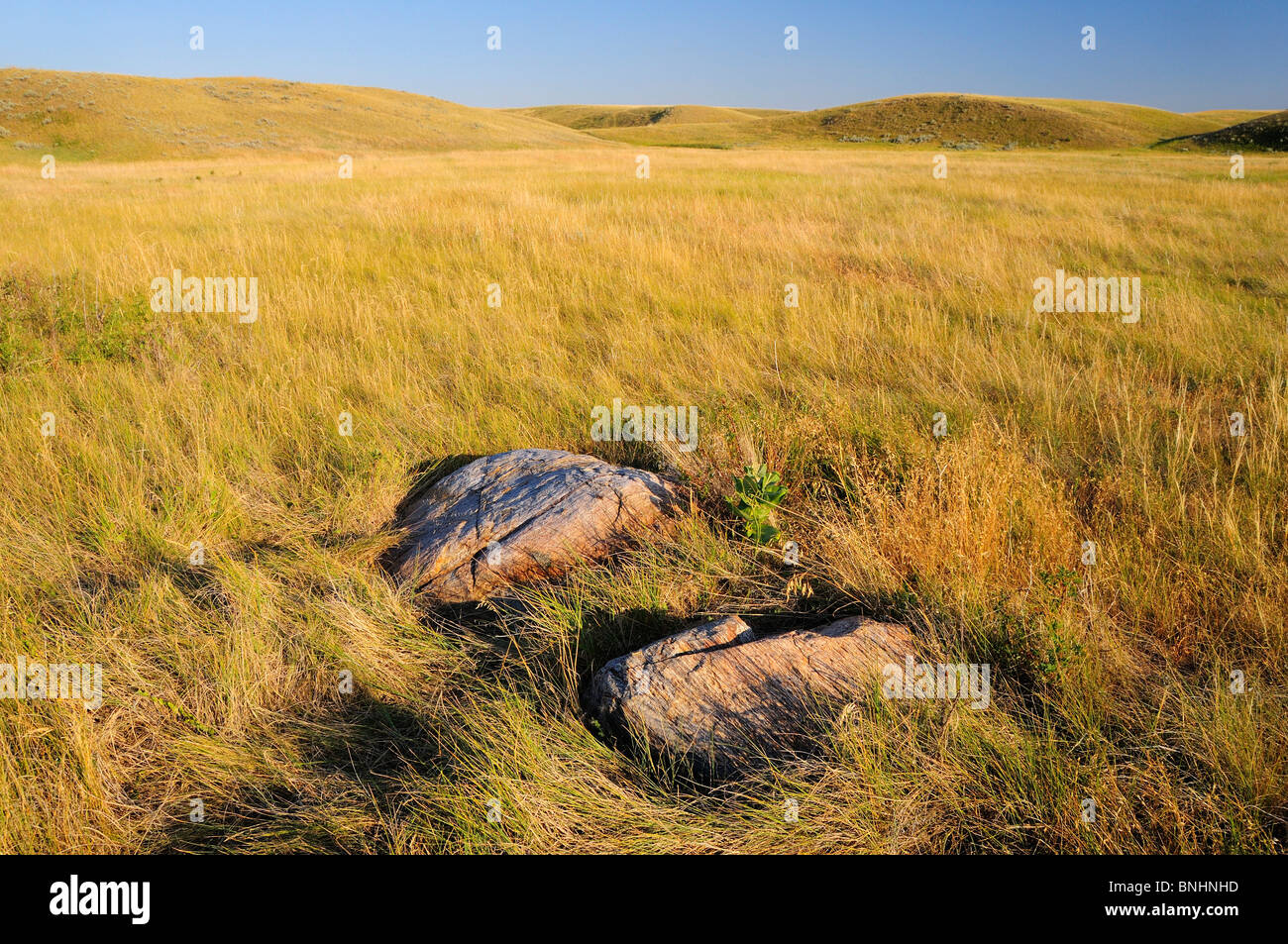 USA Bear Paw Battlefield Nez Perce National Historic Park near Chinook