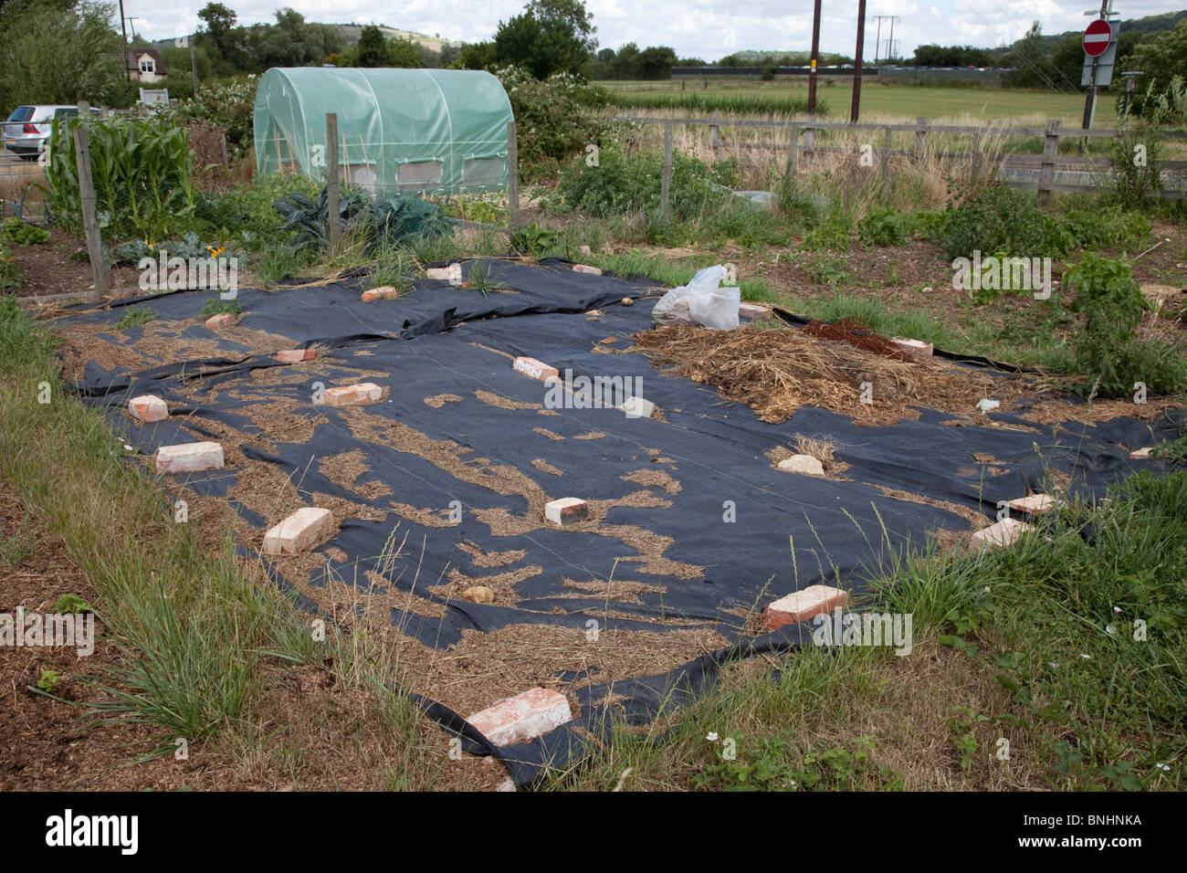 Black plastic covering soil to kill weeds on community allotments