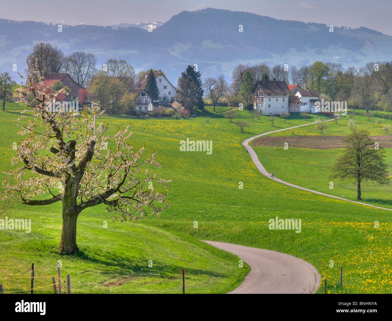 Switzerland Canton of Zurich landscape spring scenery rural farm houses
