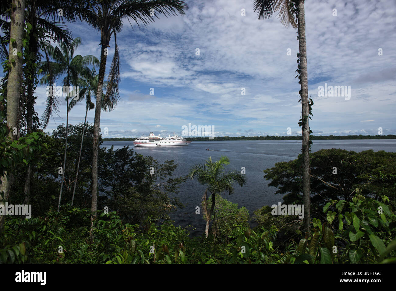 Ms with palm trees hi-res stock photography and images - Alamy