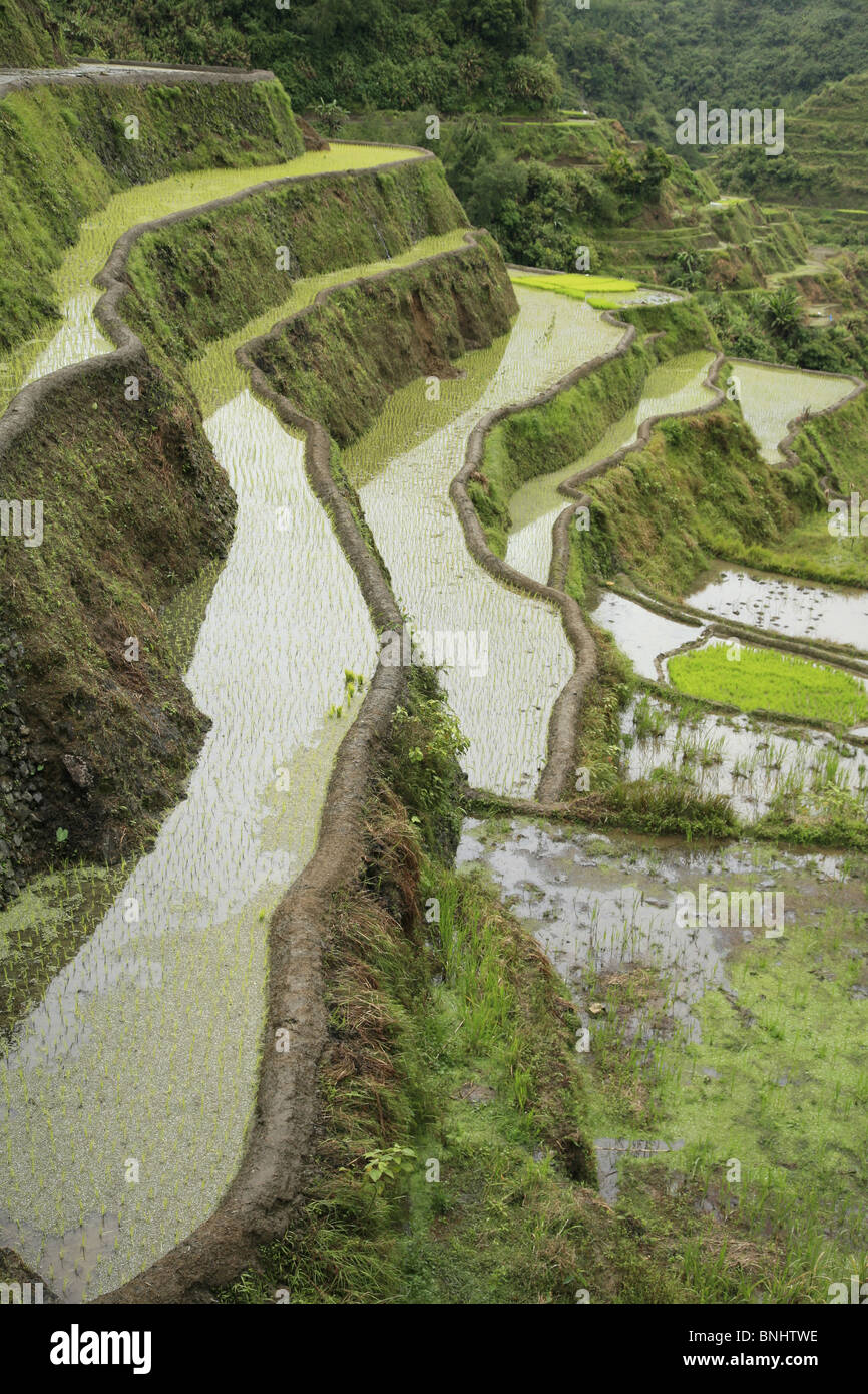 Philippines Asia Luzon Cordillera Central Cordilleras mountains landscape island Province Ifugao rice terraces UNESCO World Stock Photo